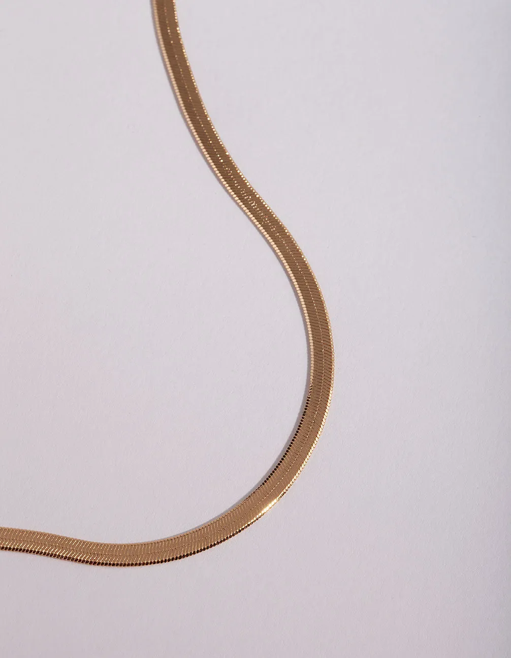 Gold Snake Chain Classic Necklace